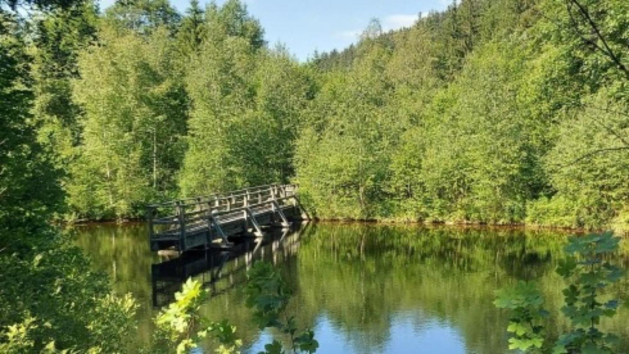 Oberprechtal Grundhofヴィラ エクステリア 写真